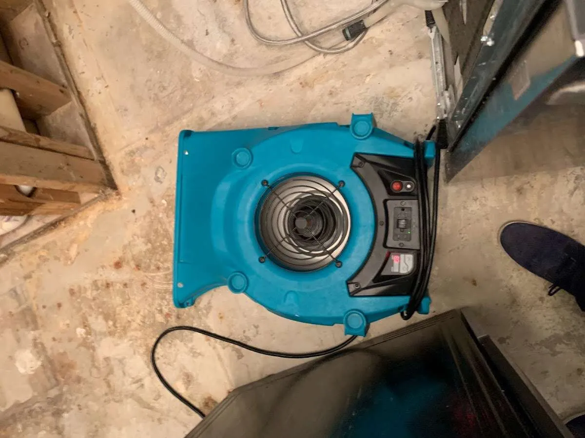 Air mover drying equipment for Mold Remediation & Removal in West Earl
